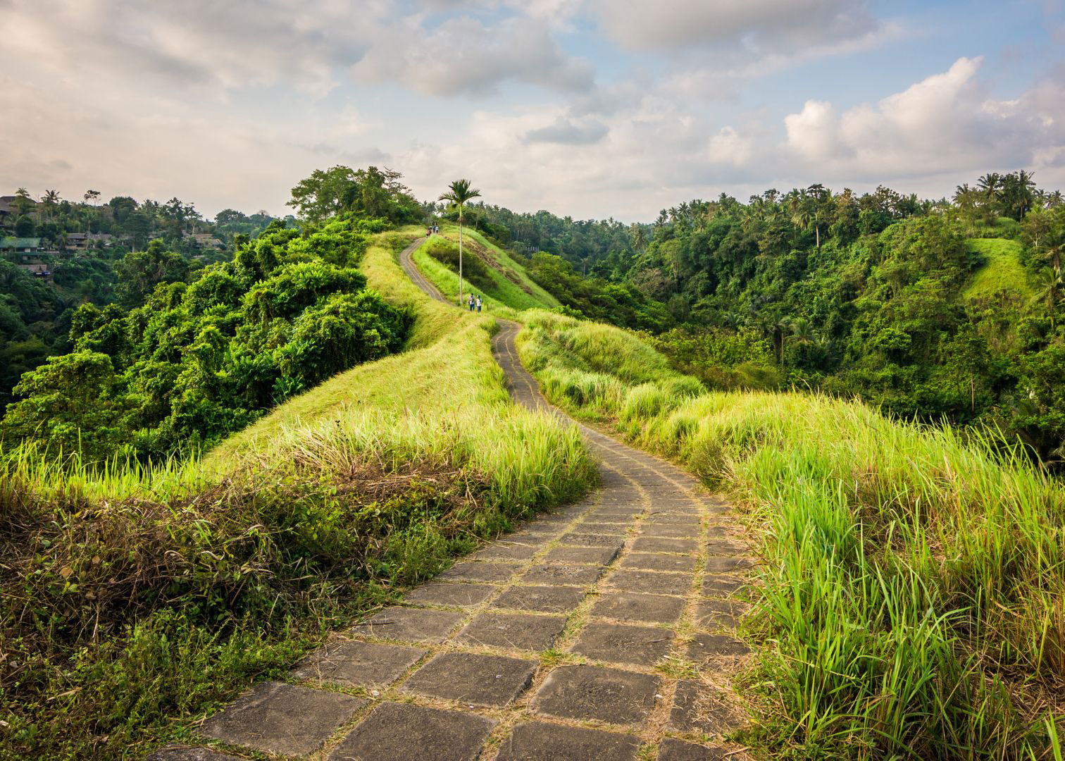 okp-bali-ridge-walk