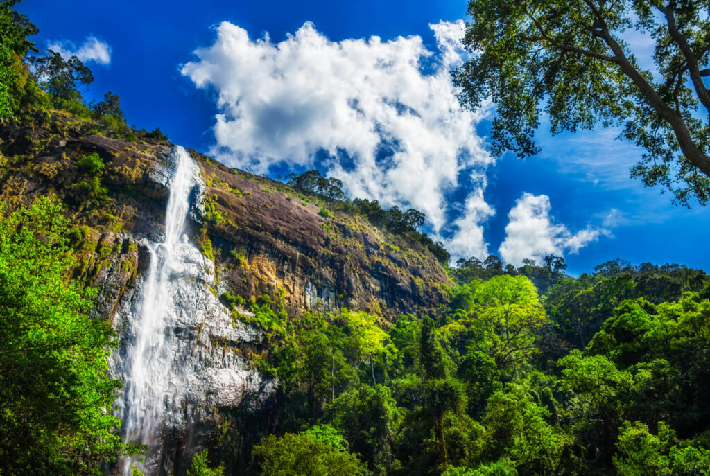 okp-sri-lanka-exp-(1)