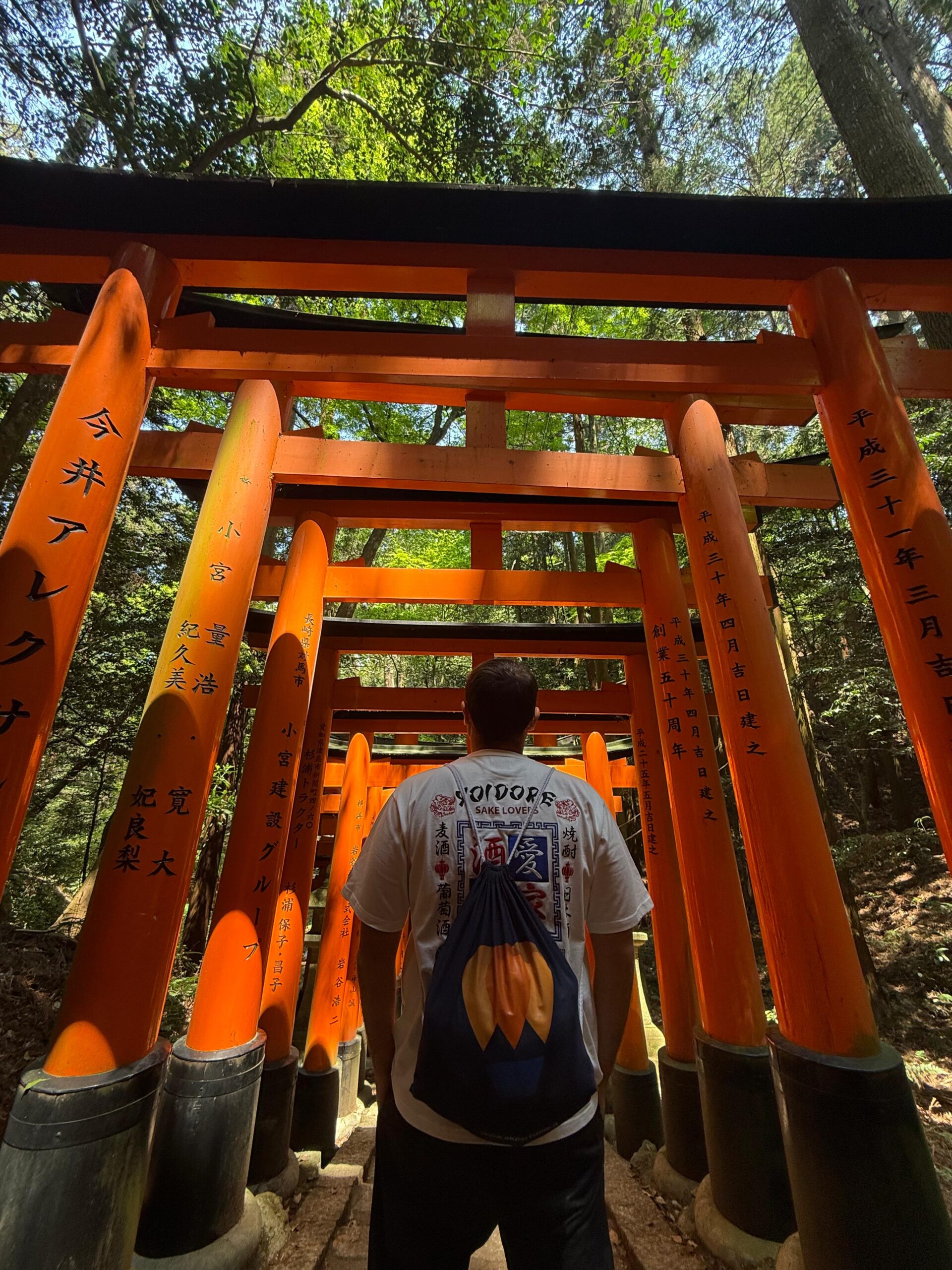 okpartiamo-giappone (10)