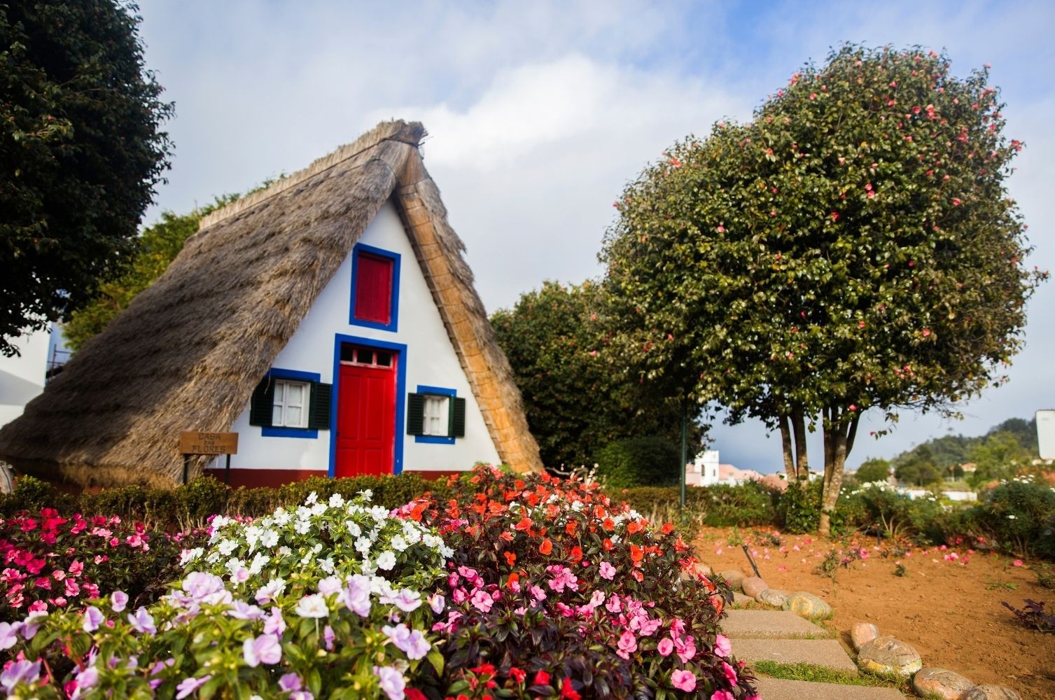 Foto dump 2 - okp-madeira (3)